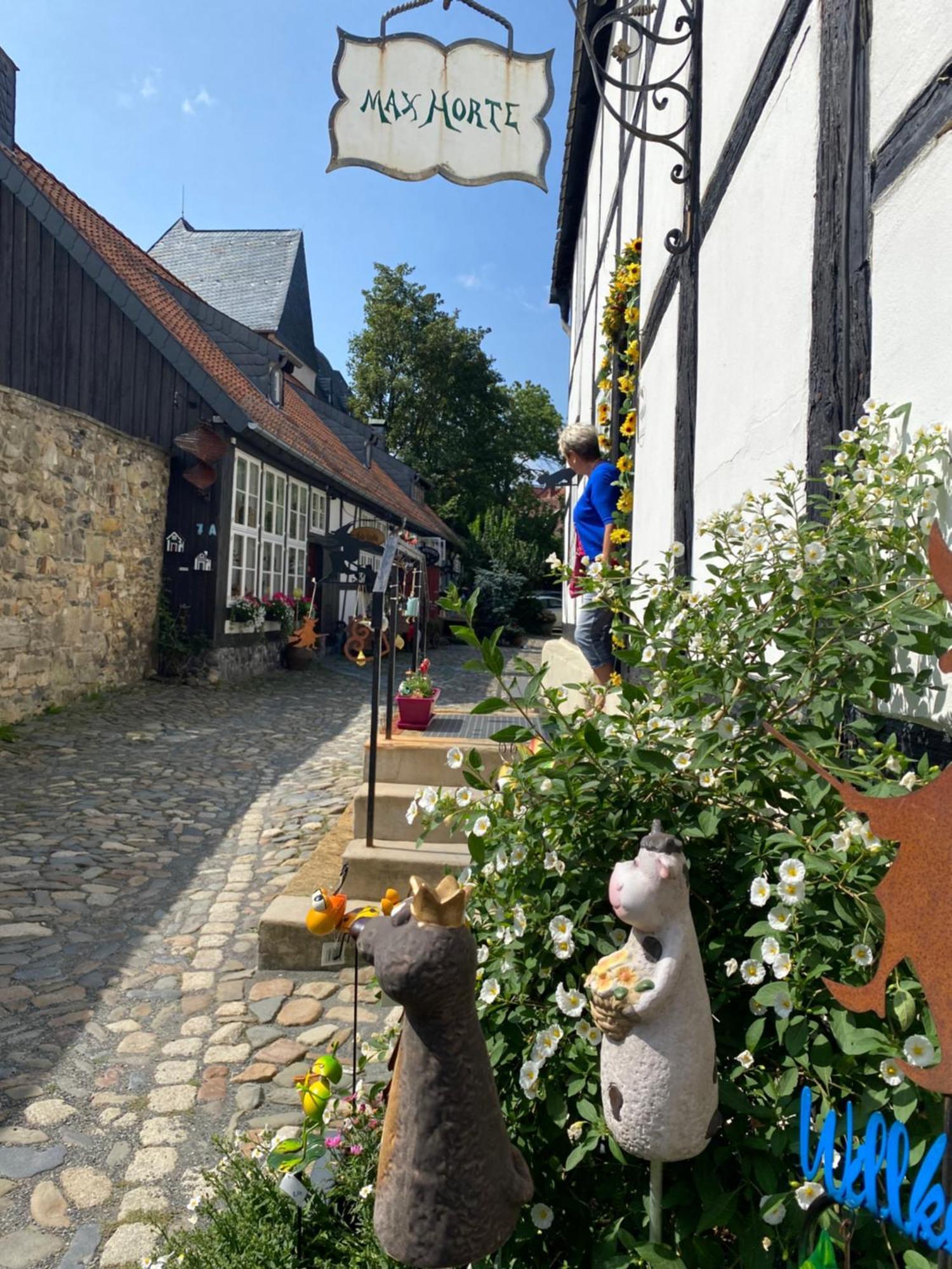 Fewo Georgenberg Goslar Kültér fotó