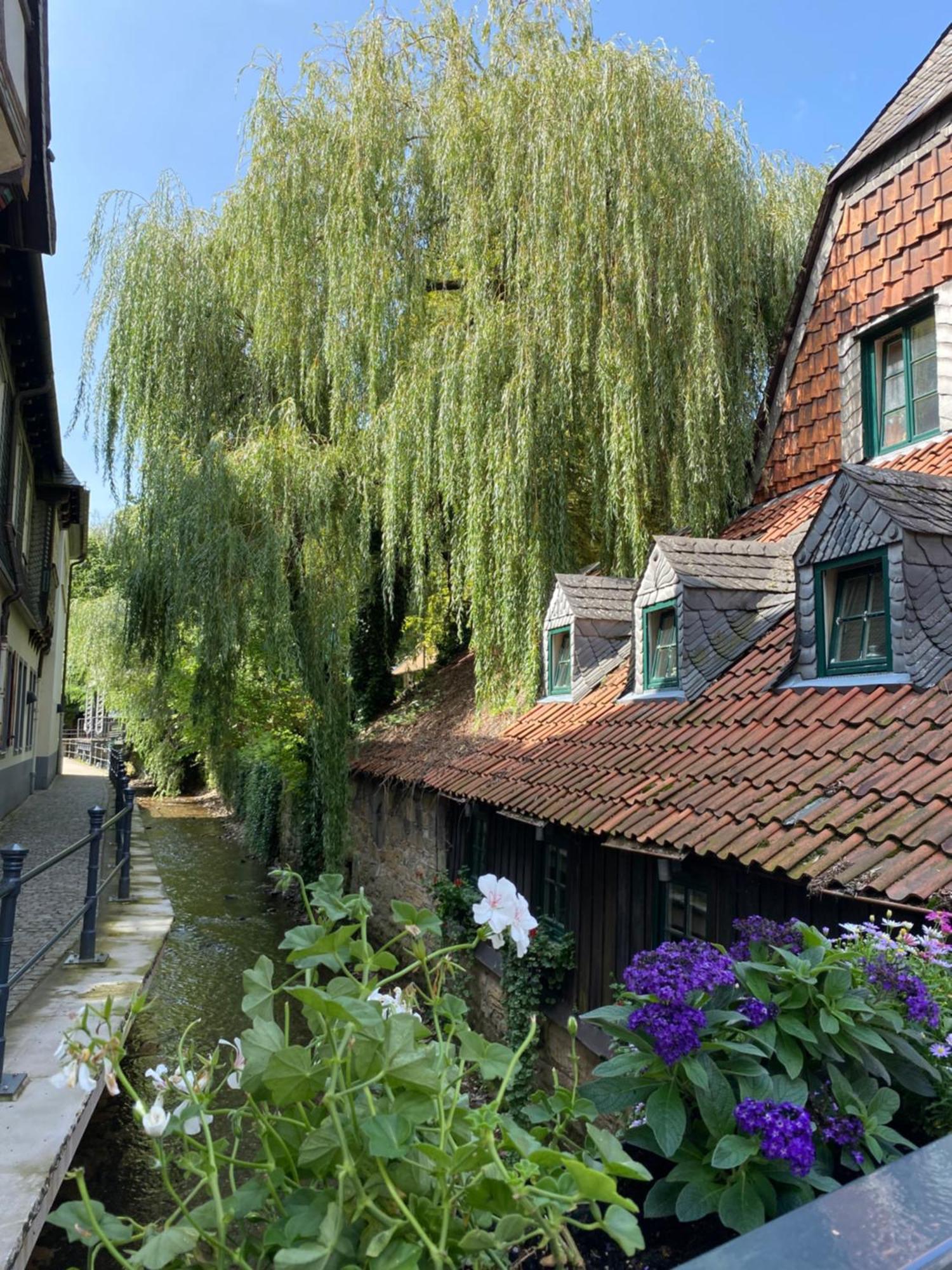 Fewo Georgenberg Goslar Kültér fotó