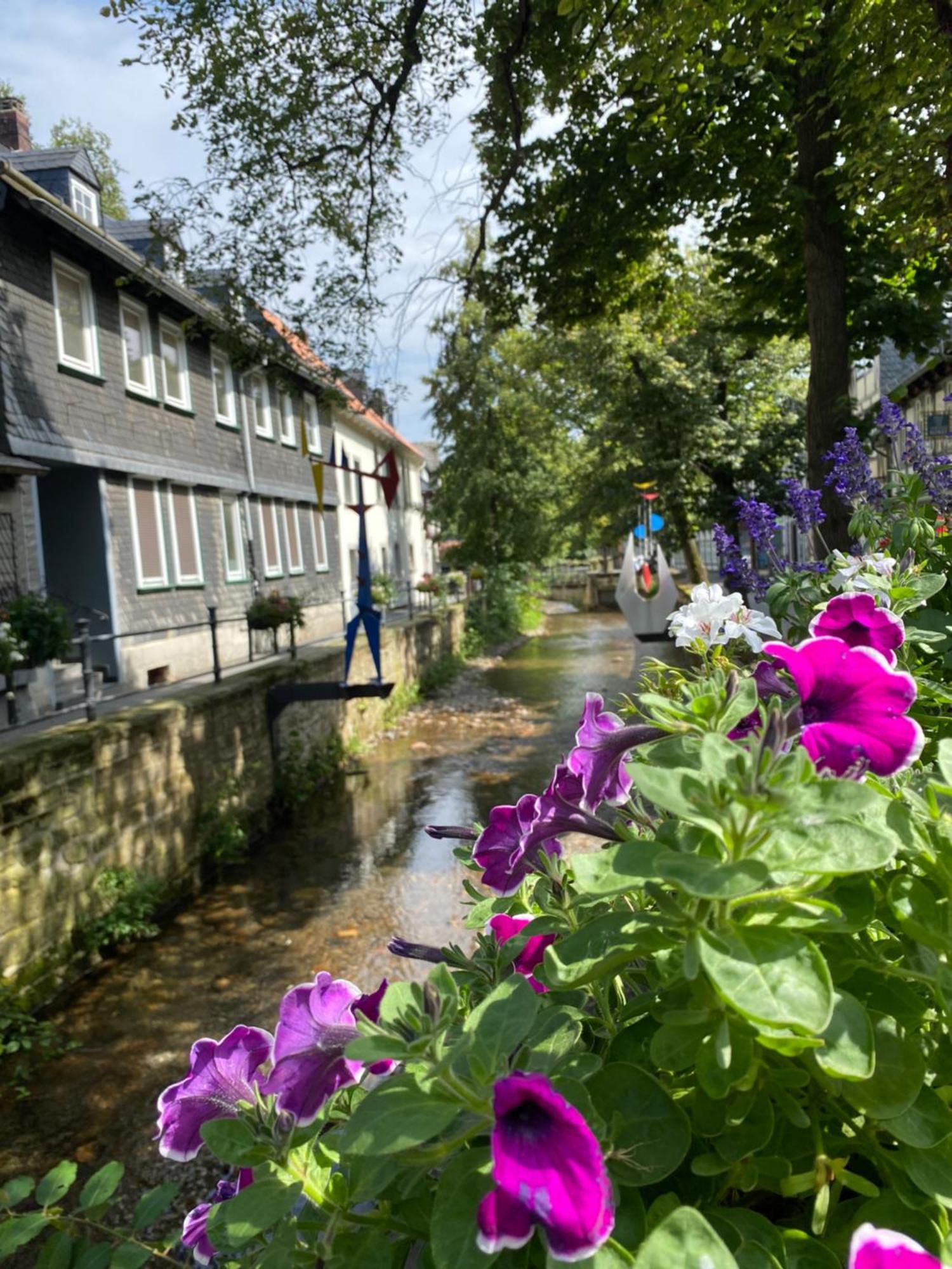 Fewo Georgenberg Goslar Kültér fotó