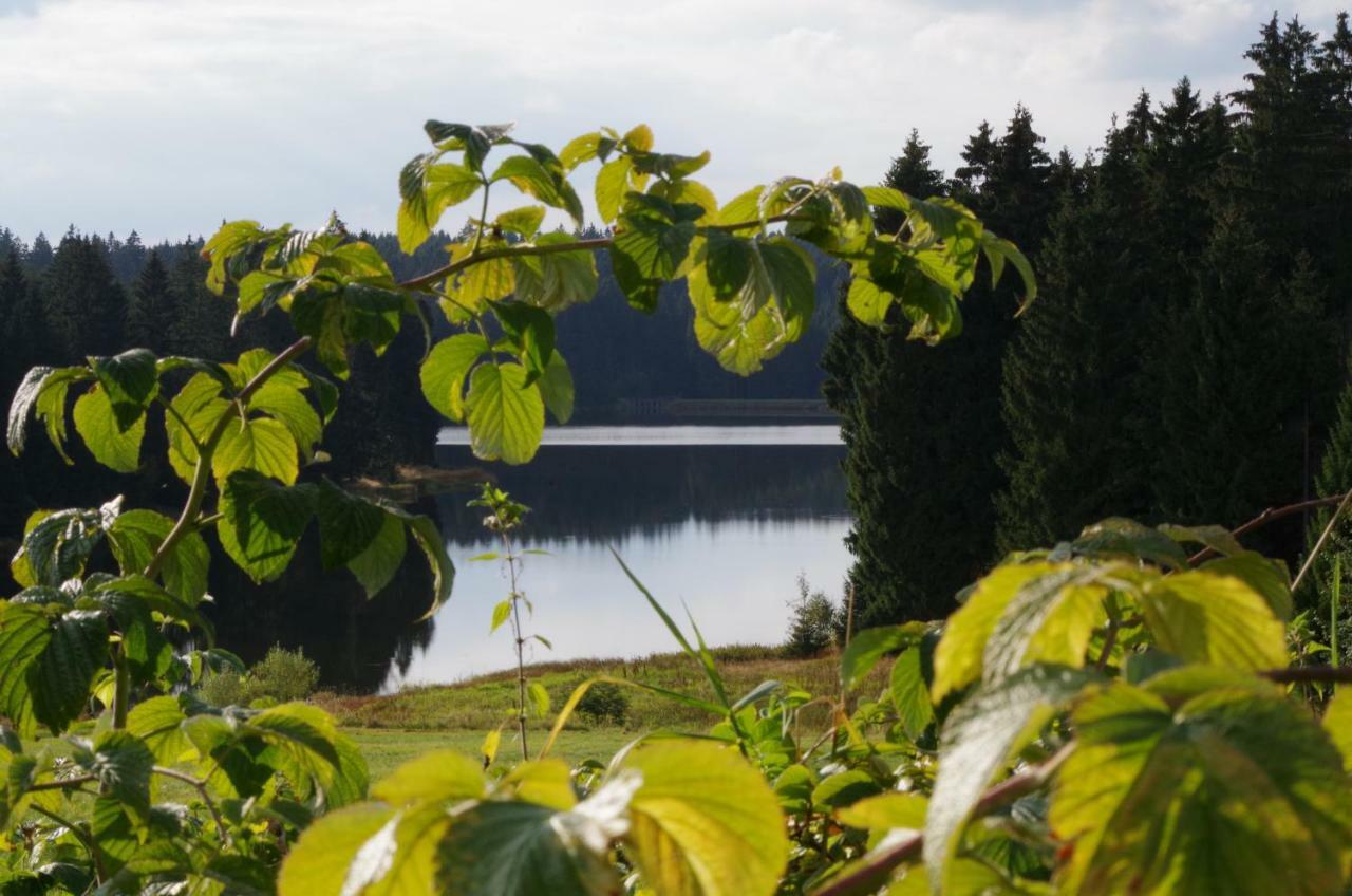 Fewo Georgenberg Goslar Kültér fotó